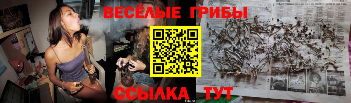Псилоцибиновые грибы ЛСД  Вход с VPN  Нижний Тагил 